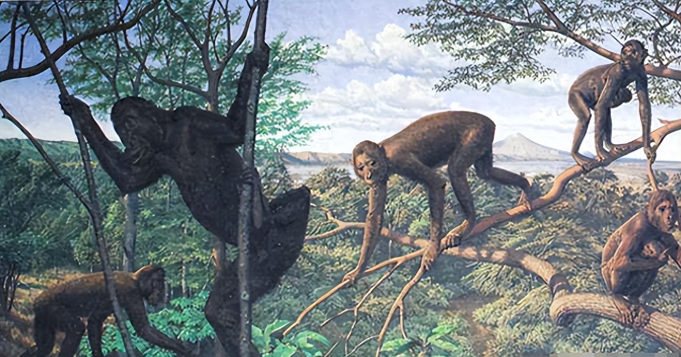 人类人种之间为什么没有生殖隔离,人类为什么还没有产生生殖隔离