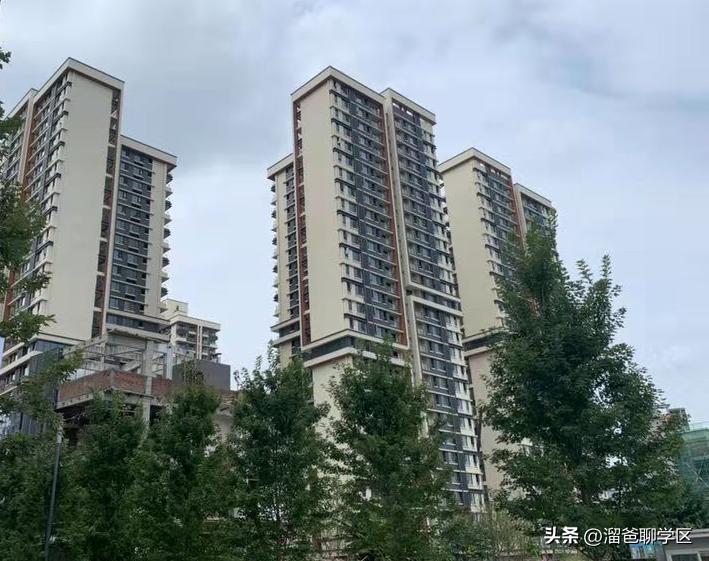 石室教育集团,成都石室中学教育集团学校