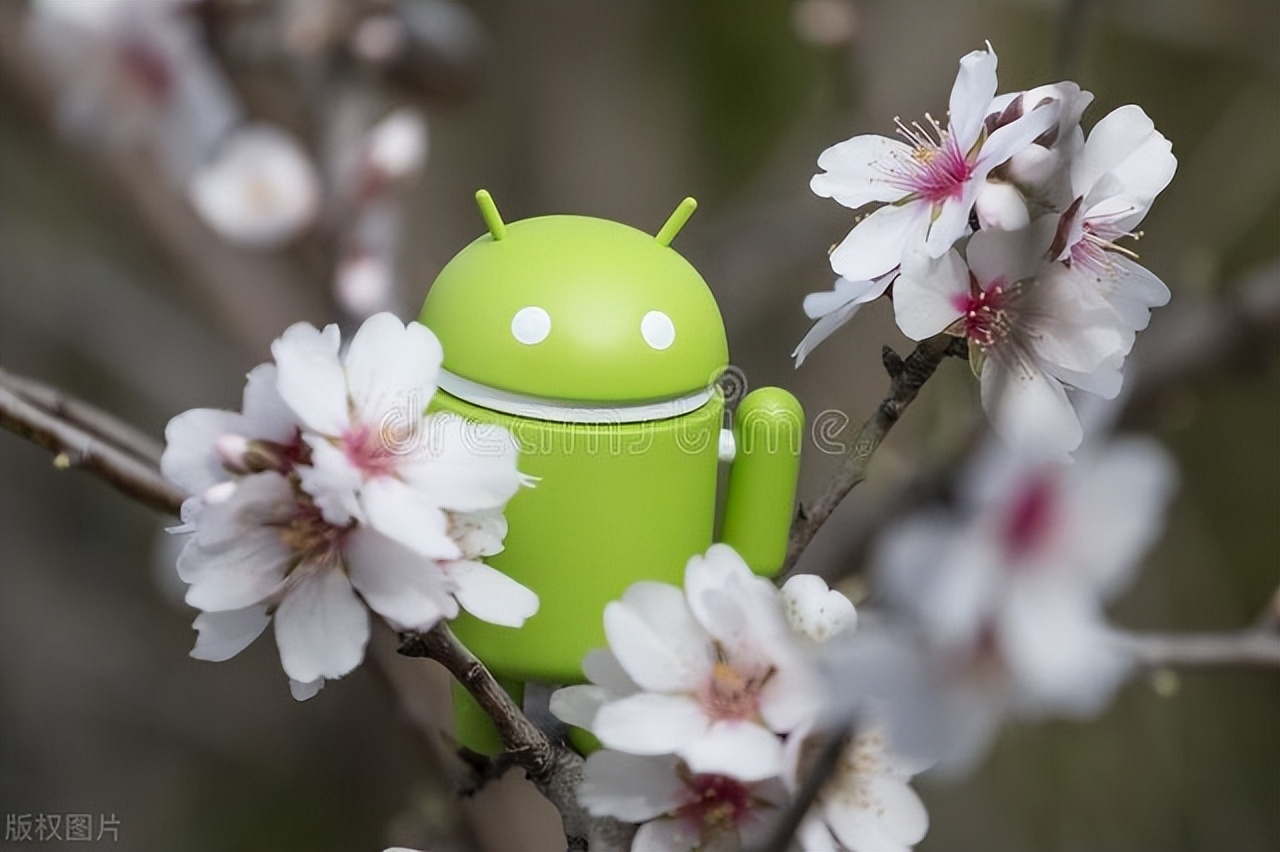 小米华为智能手表,华为小米苹果智能手表哪个好