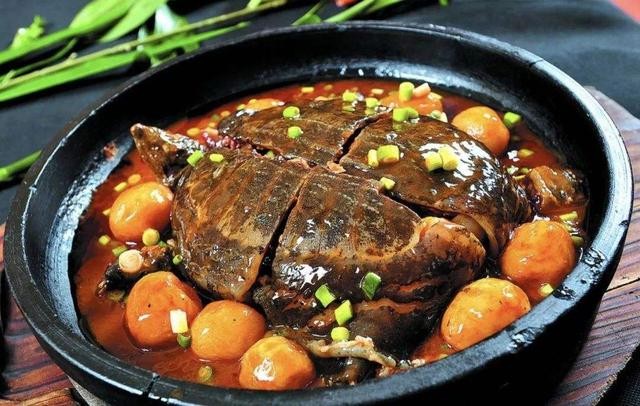 巴西龟是侵略物种吗,巴西龟泛滥成灾的危害