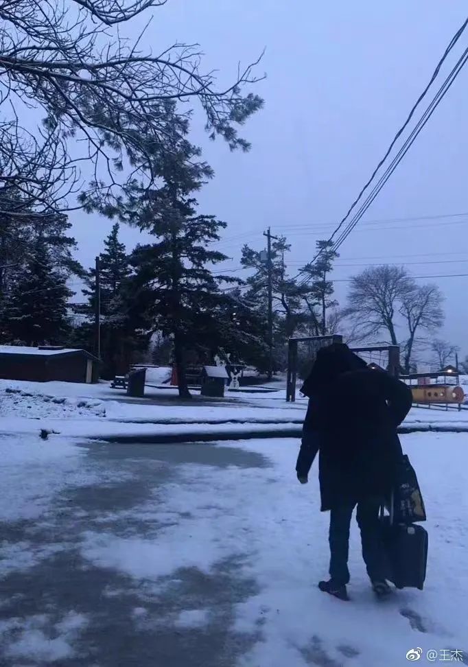 消失的王杰：一代巨星，被谁所害？