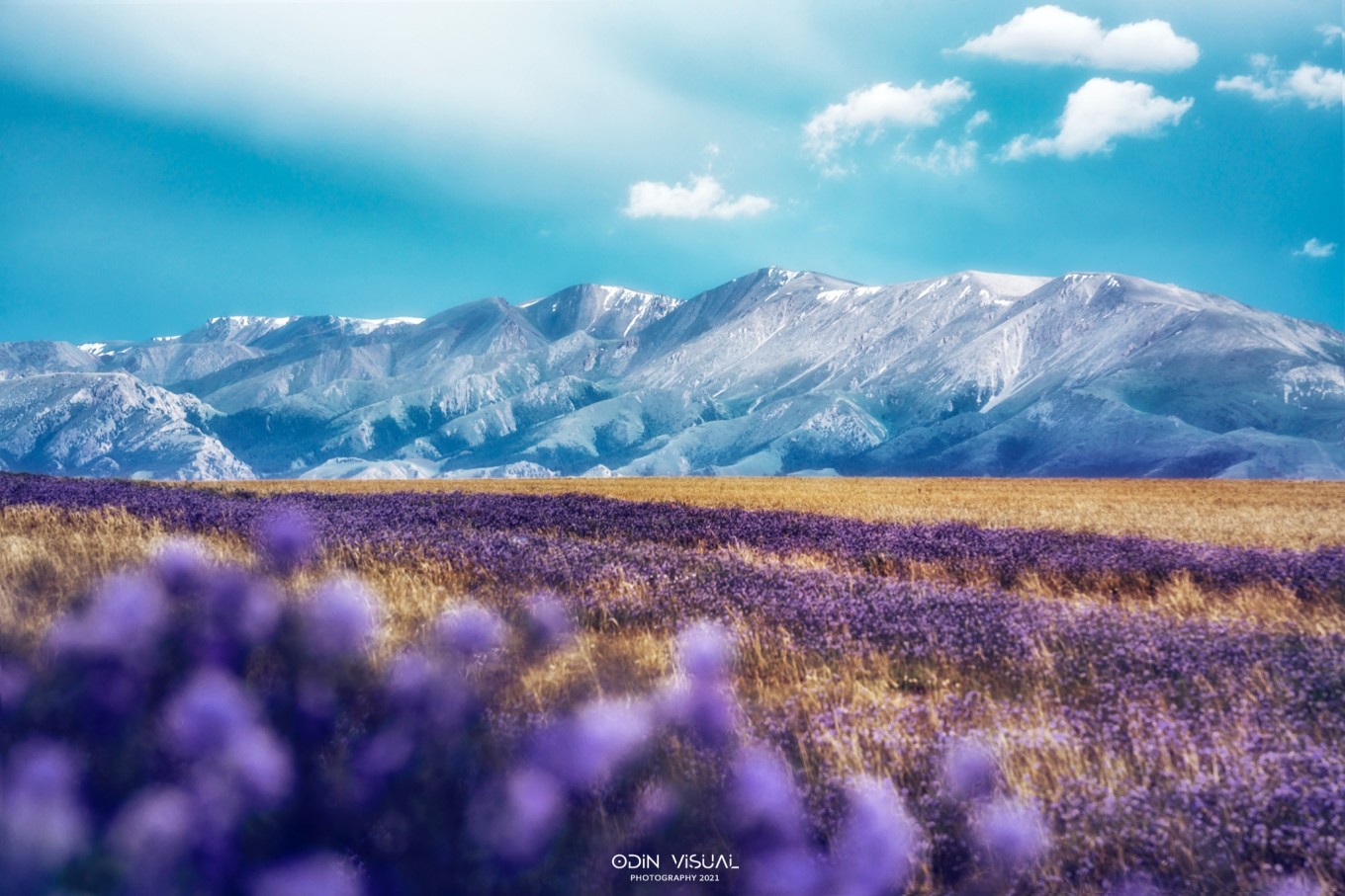 去新疆发现伊犁的美,世界之美尽在伊犁