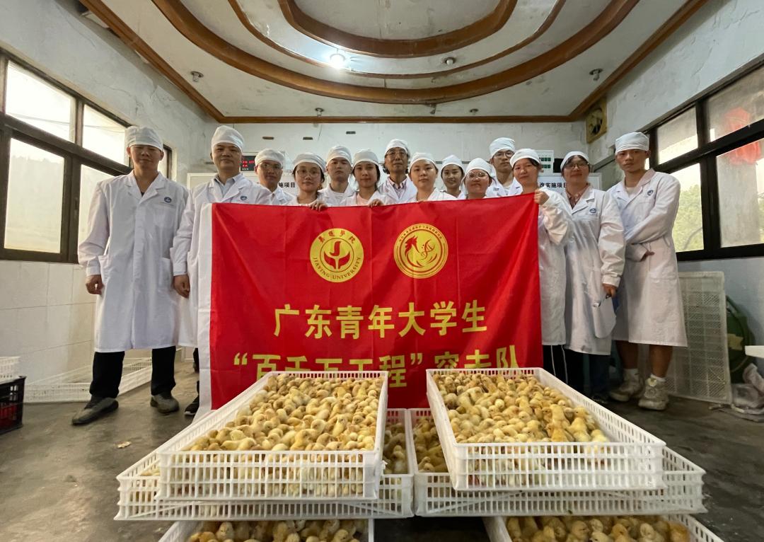 广东省百千万工程三年见成效,广东百千万示范工程