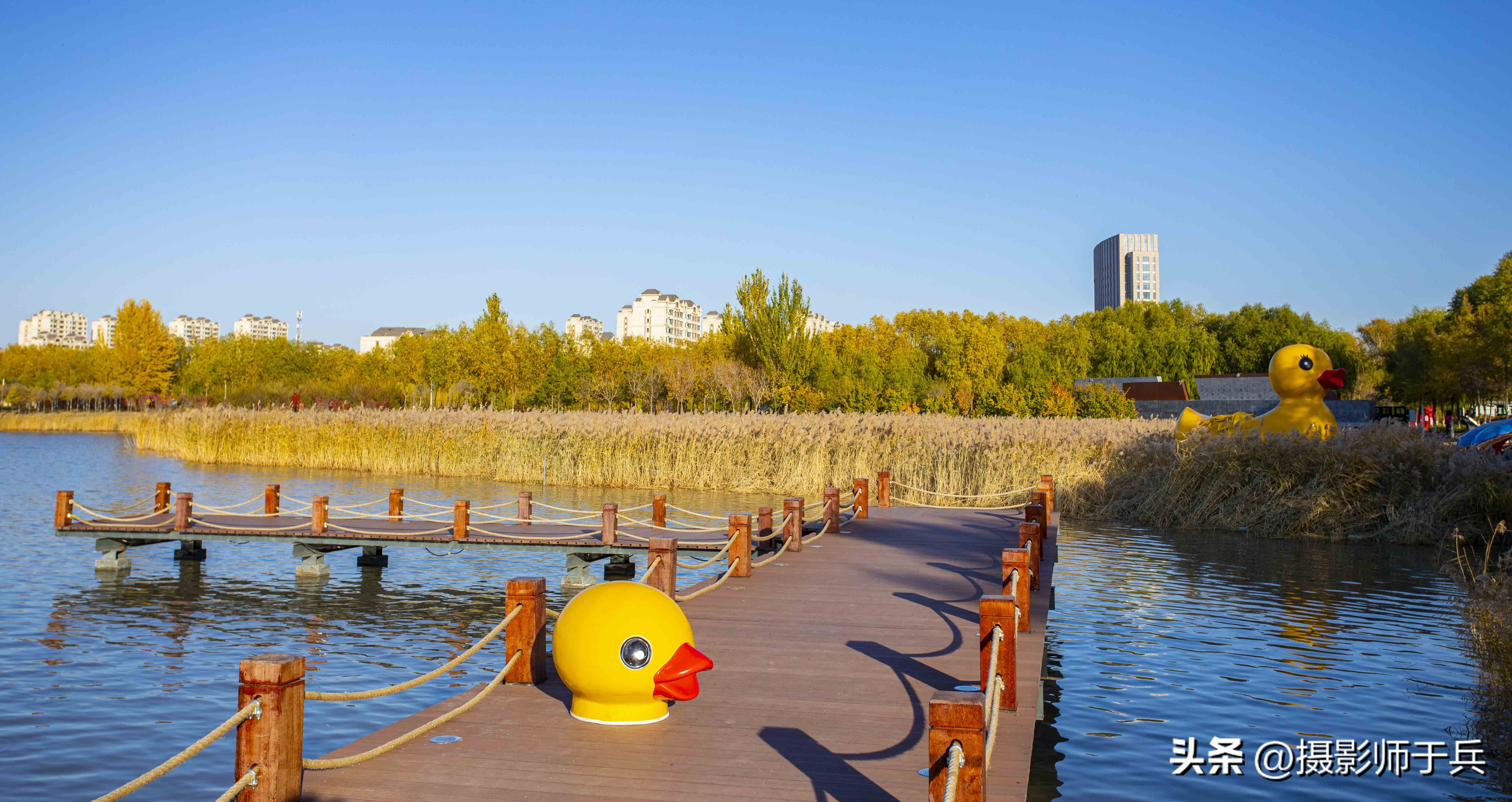 大庆环湖绿道,大庆滨水绿道创意空间