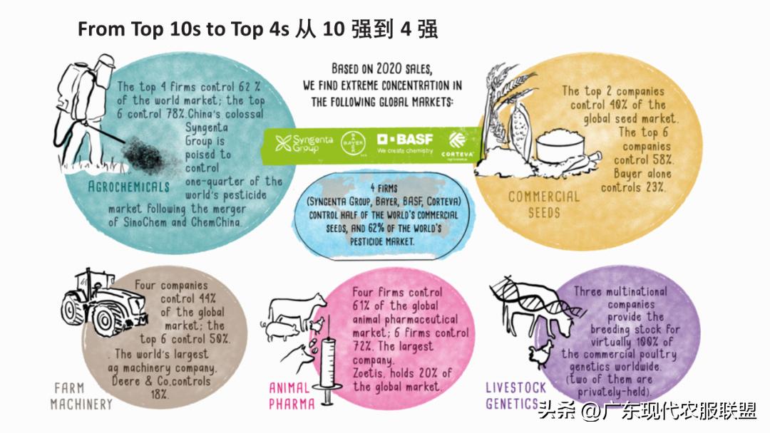 国内涉农企业有哪些,中国涉农企业2019排行榜
