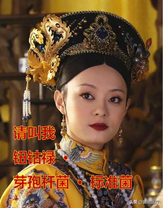 《小菌管，大讲究》系列2：后宫·菌种传——想要验你真的好难