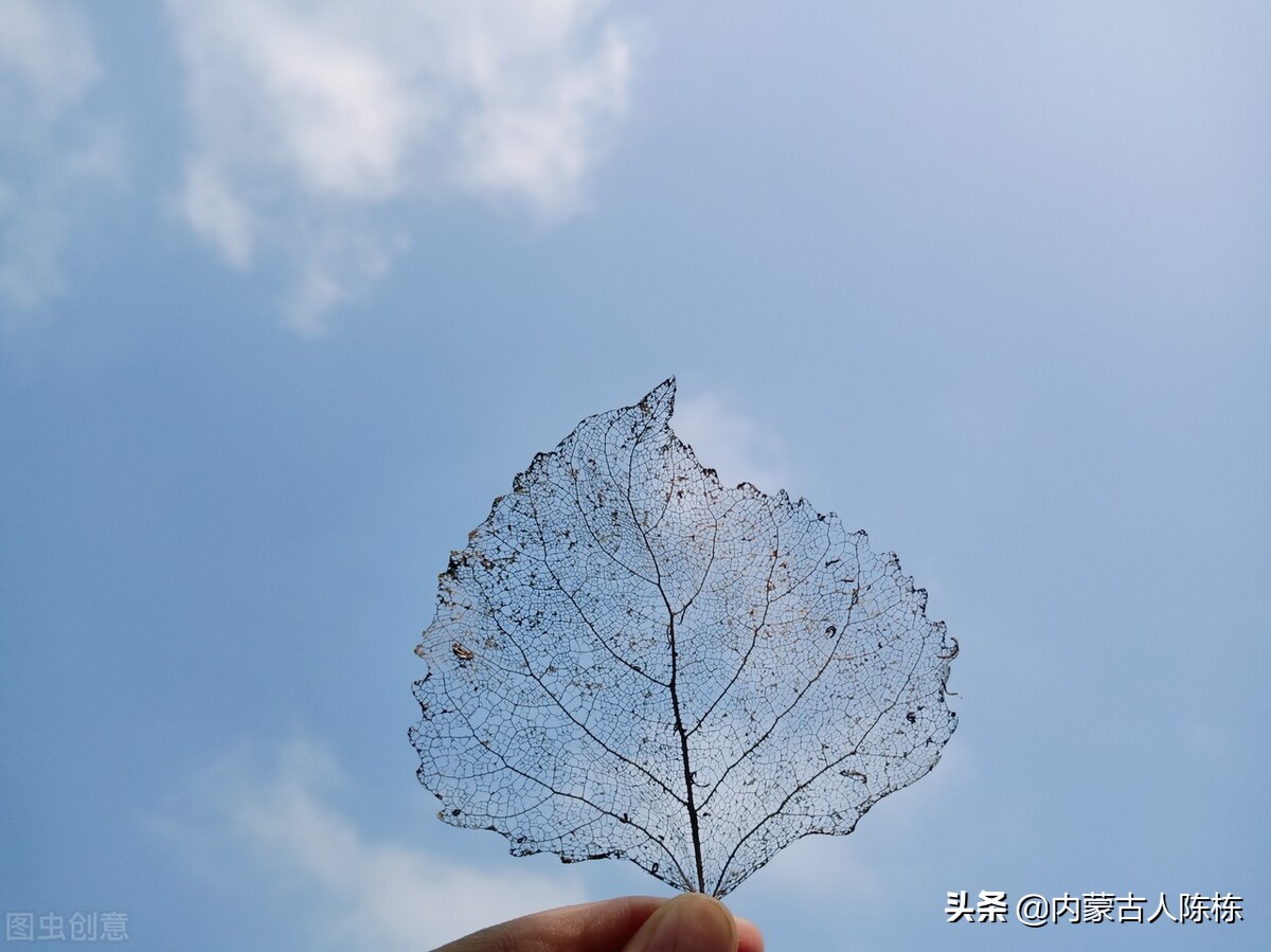 销售技巧之人际关系,销售技巧的学习与领悟