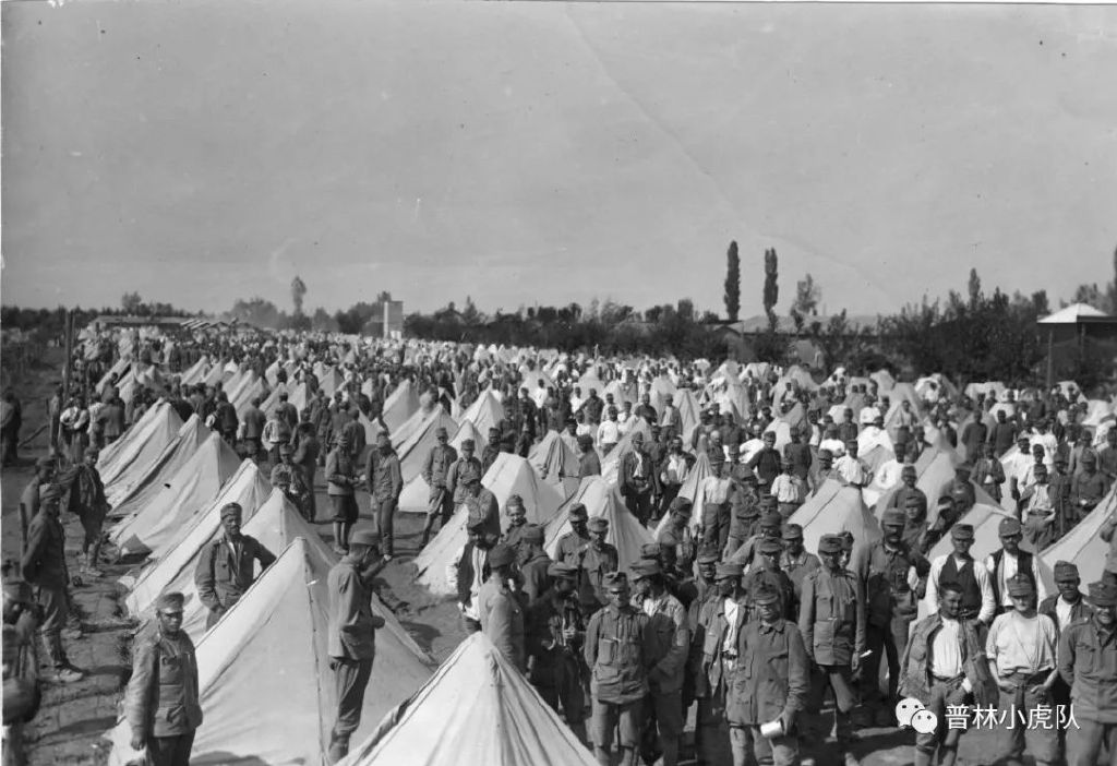 数学家中的长者,一生随着历史的进程而起伏