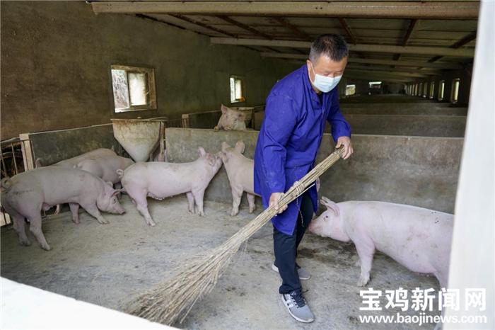 杨百万简历,杨百万的奋斗史