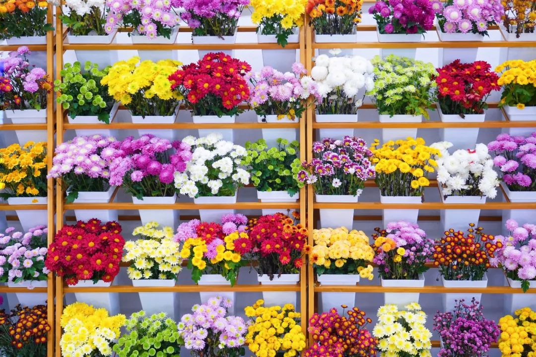 江苏盐城藏着一个安逸县城,为了吃都值得去一趟!知道的人太少