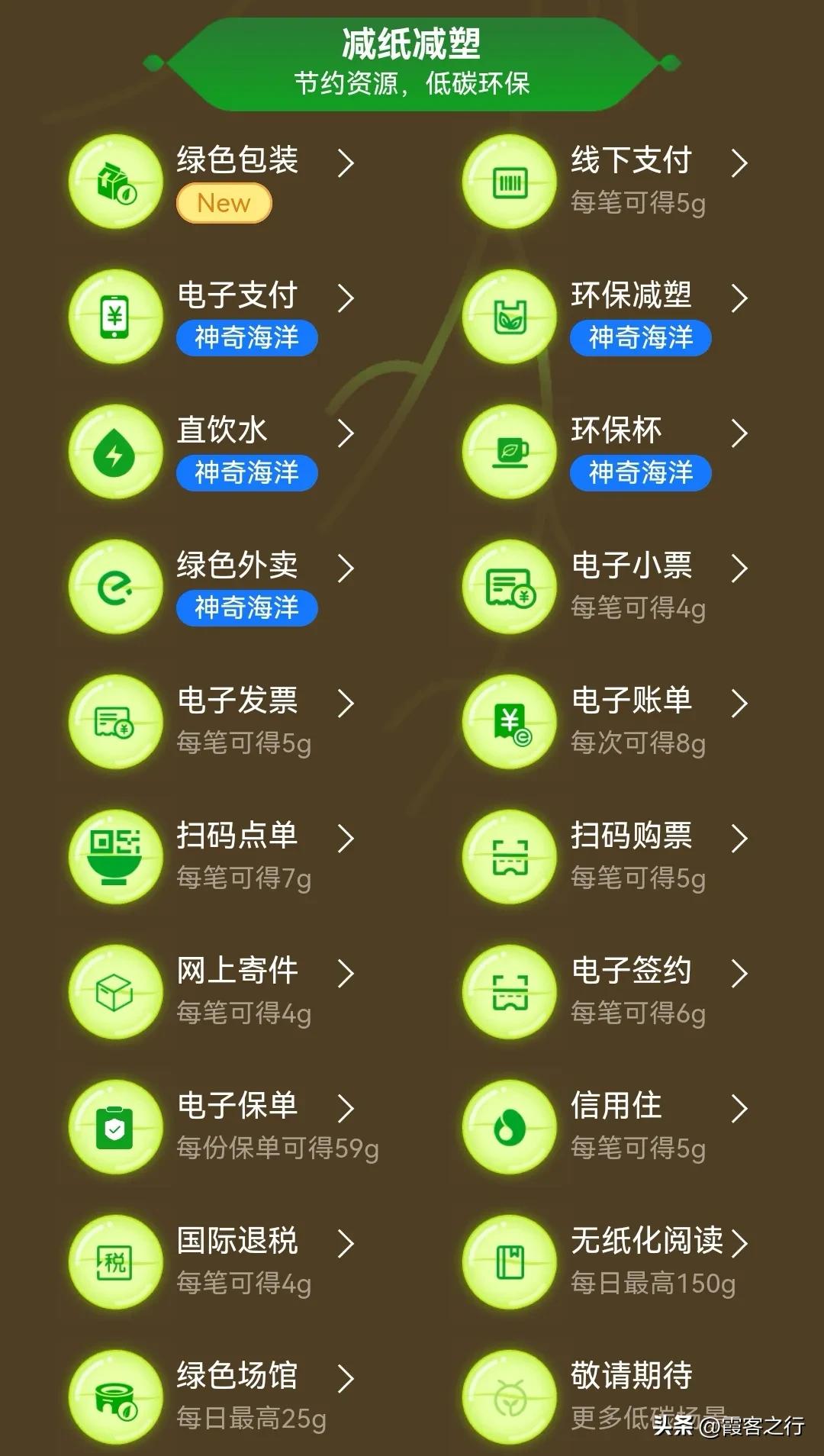 蚂蚁森林能查看访问记录吗,蚂蚁森林的消息记录