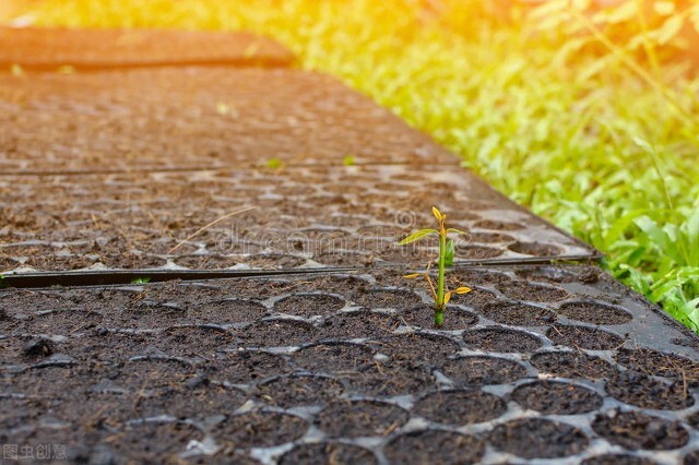 我40多岁，曾经因为没钱，急得直飙泪