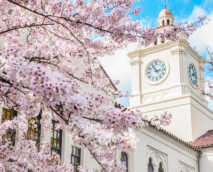 关关同立在日本地位,关关同立在关西地位