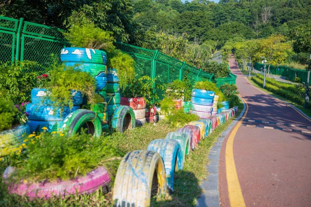 深圳淘金山绿道公园攻略,深圳淘金山绿道风景视频