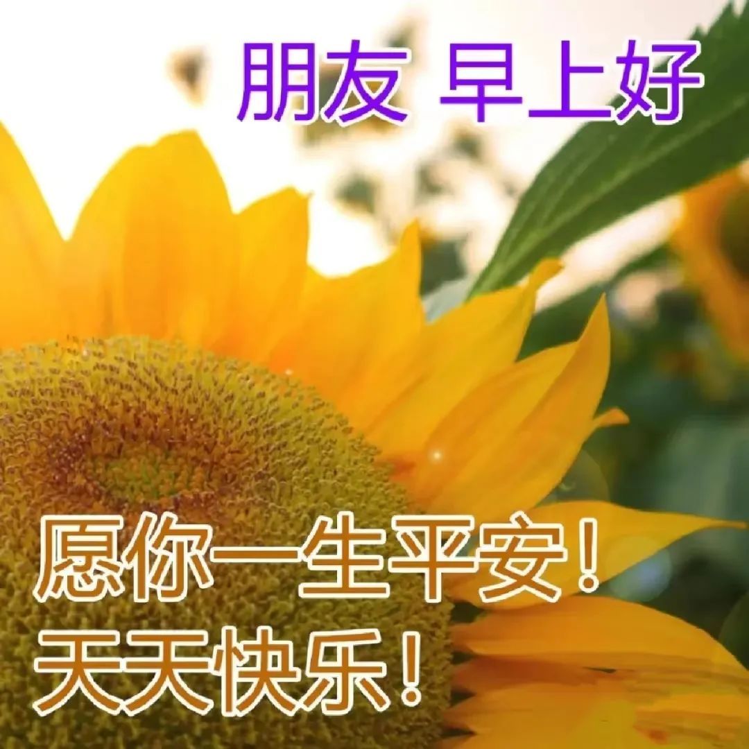 周一早安最暖心的祝福图片图文,最新周一早上好祝福图片