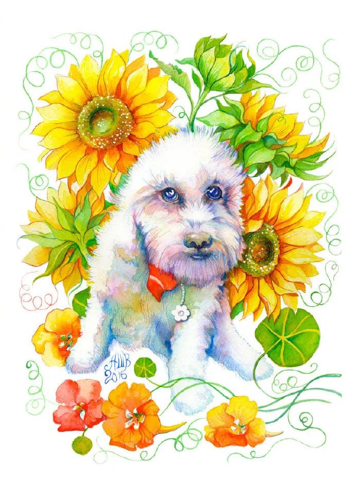 用色大胆的水彩作品,大神级水彩作品看完肯定不后悔