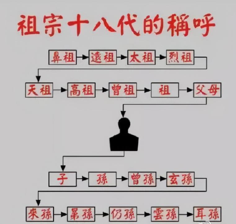 客厅养植物有什么讲究,客厅养树有什么讲究