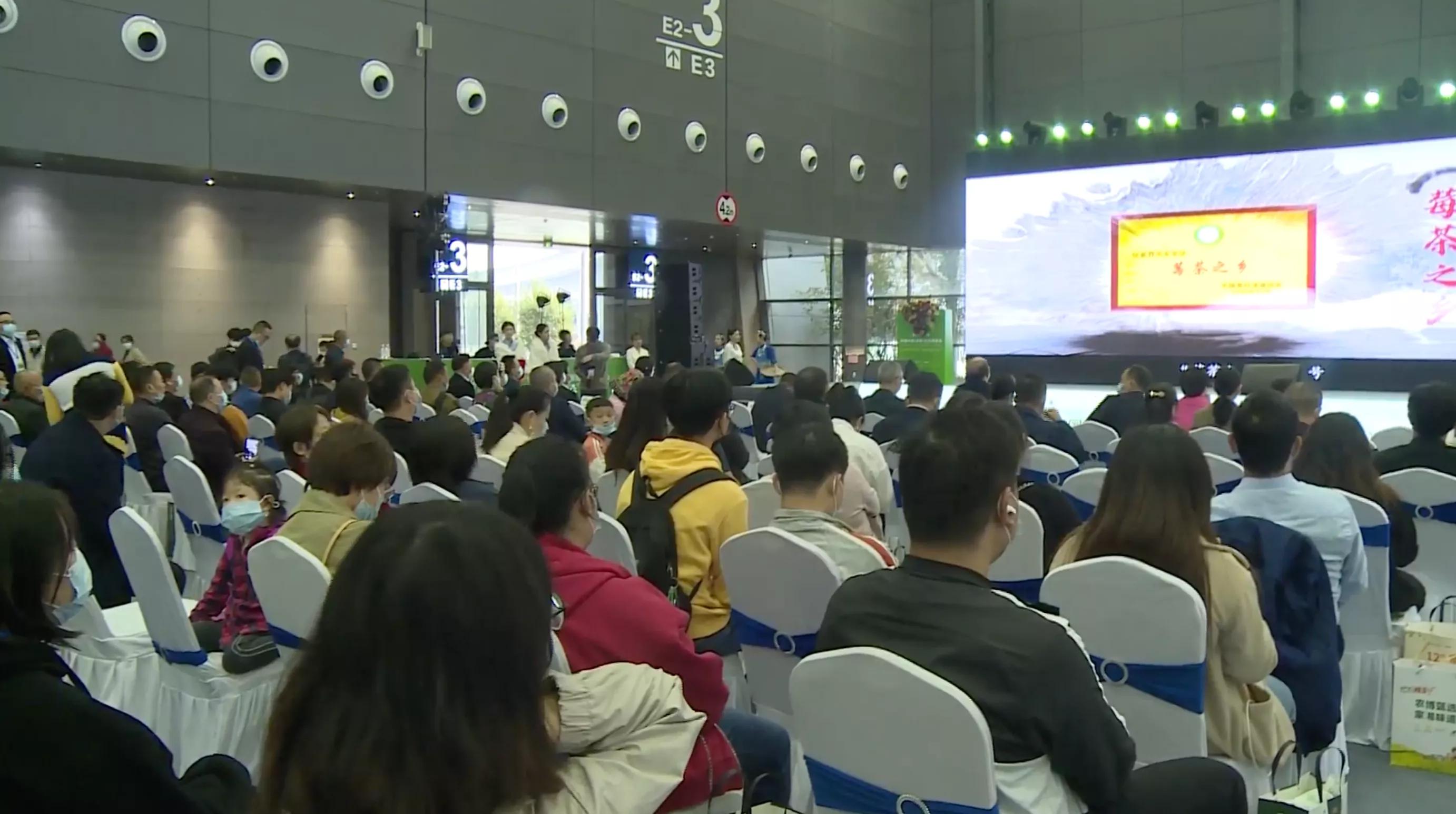 茅岩莓茶正宗产地,茅岩莓茶百科介绍