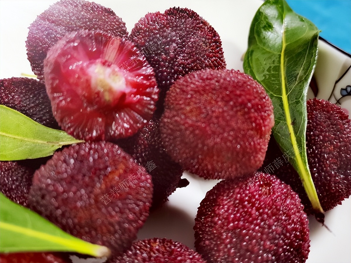 杨梅不洗干净变成一道荤菜,吃了杨梅什么菜不能吃