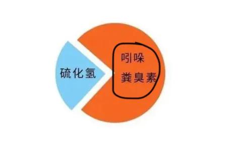 我国拉的大便去哪了？大便中的吲哚浓度越高越臭，或稀释后有香味