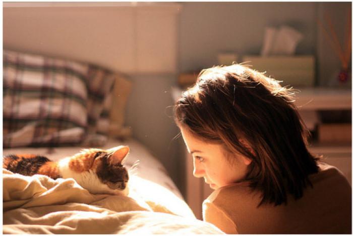 养猫咪可以降低多种疾病的发病率,听说养猫咪久了会有这9种病