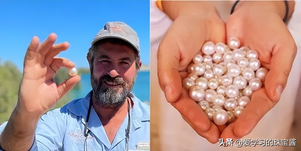 如果只能拥有一只包买什么类型,不是所有珍珠都叫澳白