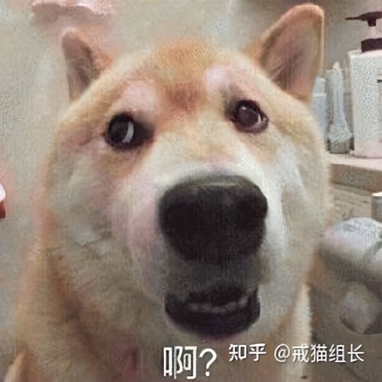 13款热门猫咪主食罐测评红黑榜,最良心的国产猫主食罐推荐