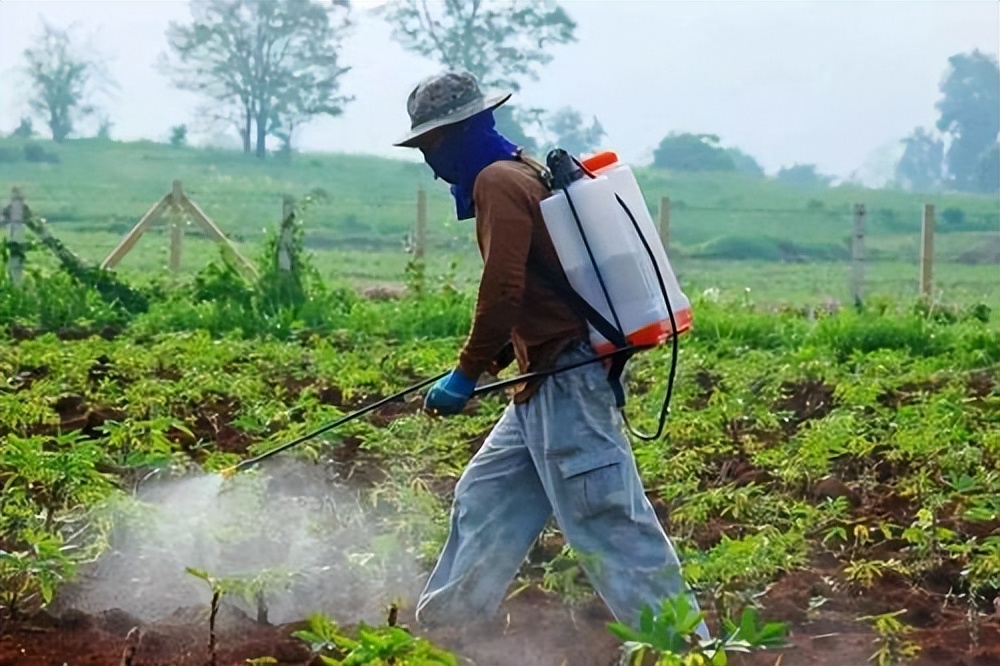 比百草枯还要毒的是什么,比百草枯还毒的毒药是什么