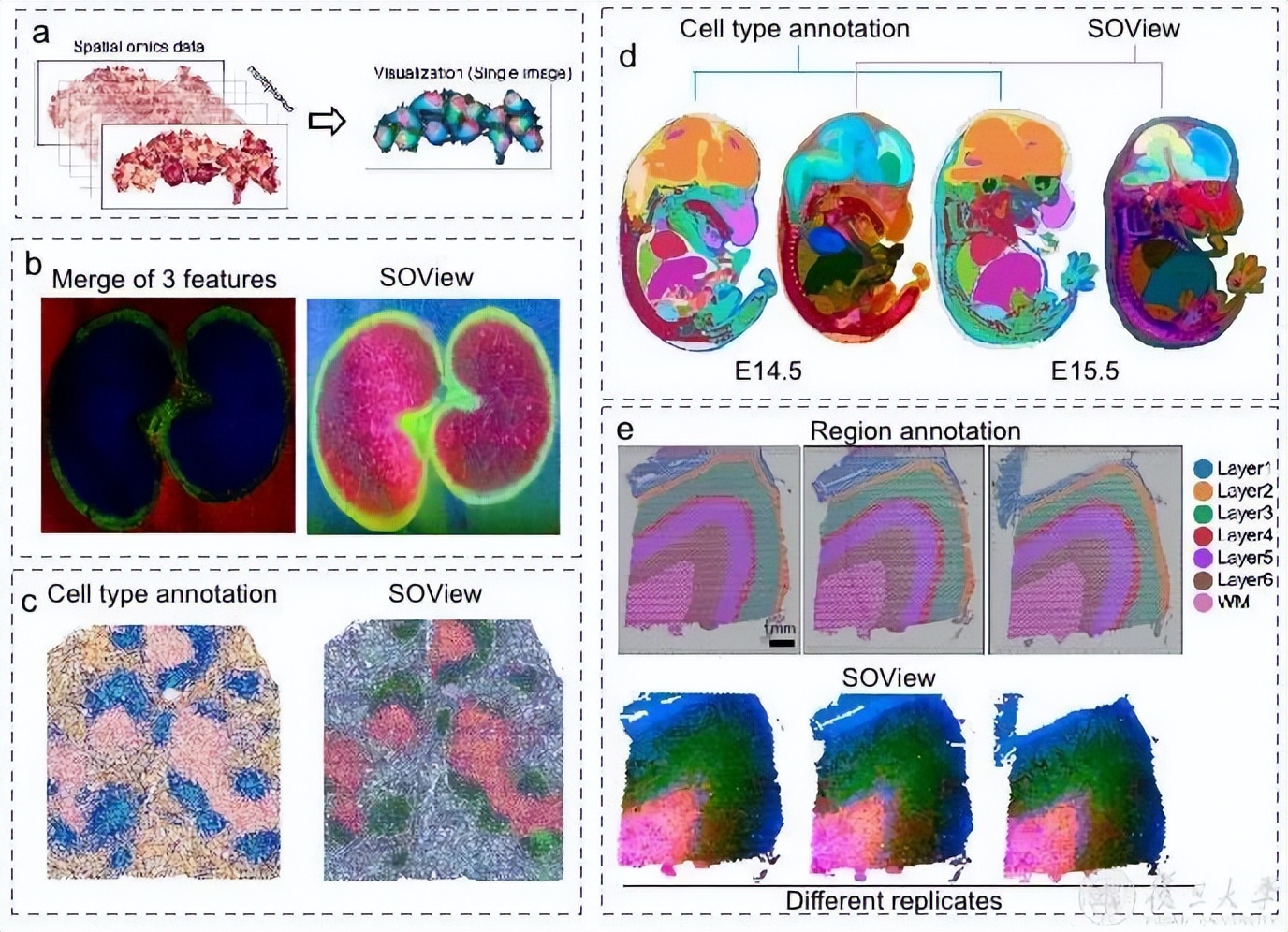 复旦大学4月科研成果,复旦春季学期