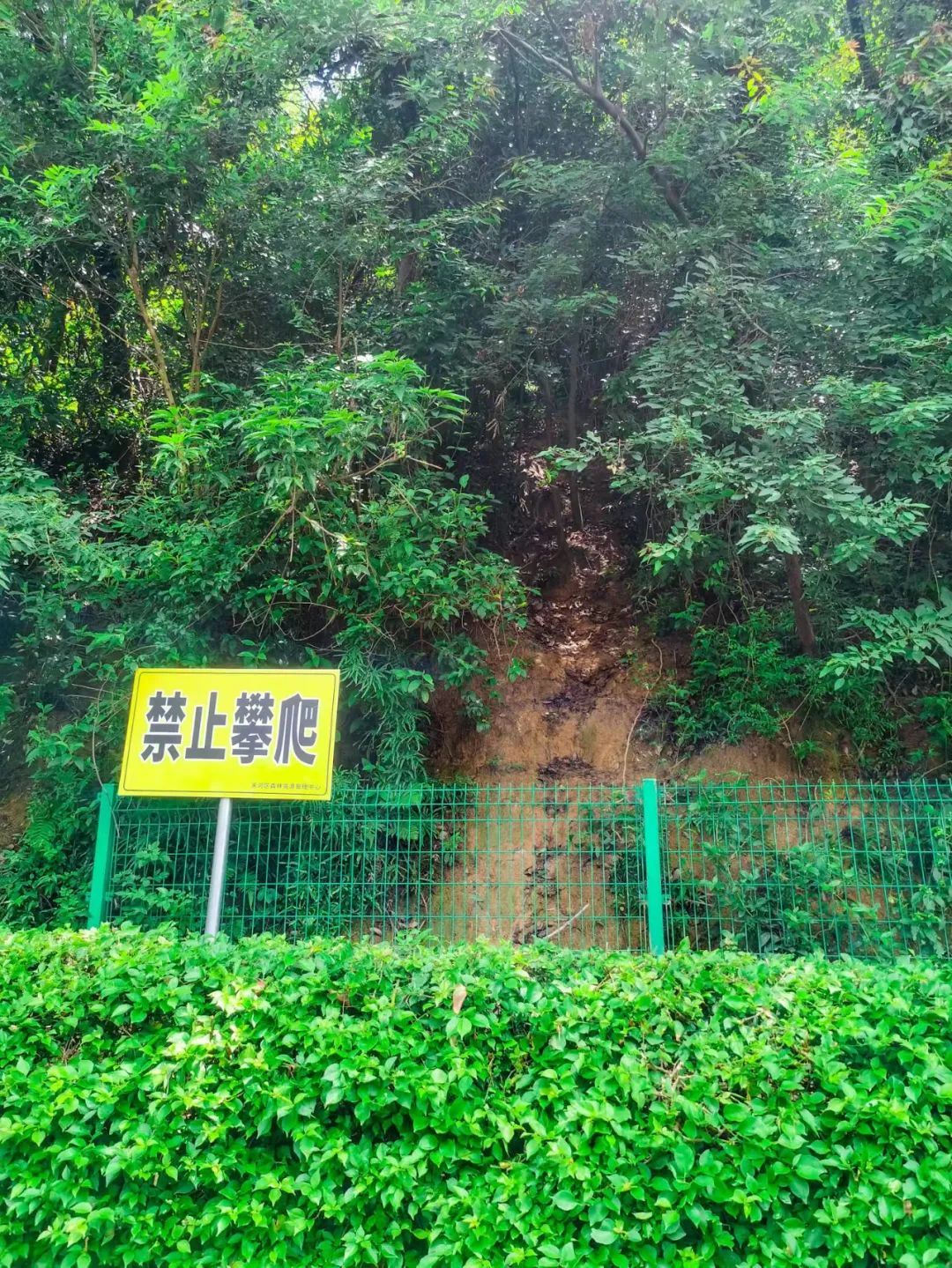 徒步登山我健康我快乐,广州火炉山爬山最佳地点