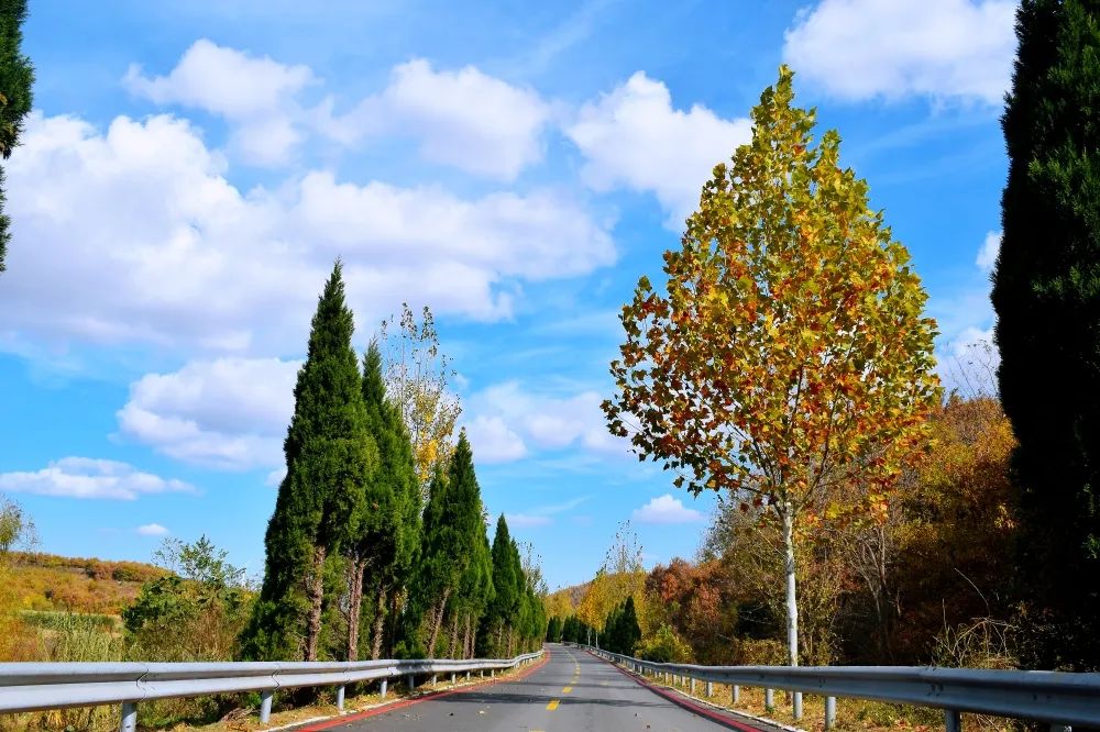 威海哪个村最美,威海十大美景乡村