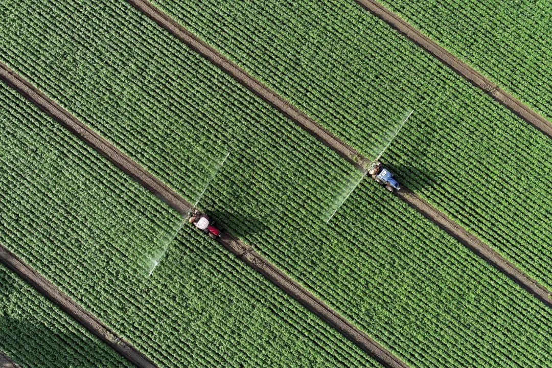 <html>
<head><title>502BadGateway</title></head>
<body>
<center><h1>502BadGateway</h1></center>
<hr><center>nginx</center>
</body>
</html>
<!--apaddingtodisableMSIEandChromefriendlyerrorpage-->
<!--apaddingtodisableMSIEandChromefriendlyerrorpage-->
<!--apaddingtodisableMSIEandChromefriendlyerrorpage-->
<!--apaddingtodisableMSIEandChromefriendlyerrorpage-->
<!--apaddingtodisableMSIEandChromefriendlyerrorpage-->
<!--apaddingtodisableMSIEandChromefriendlyerrorpage-->
