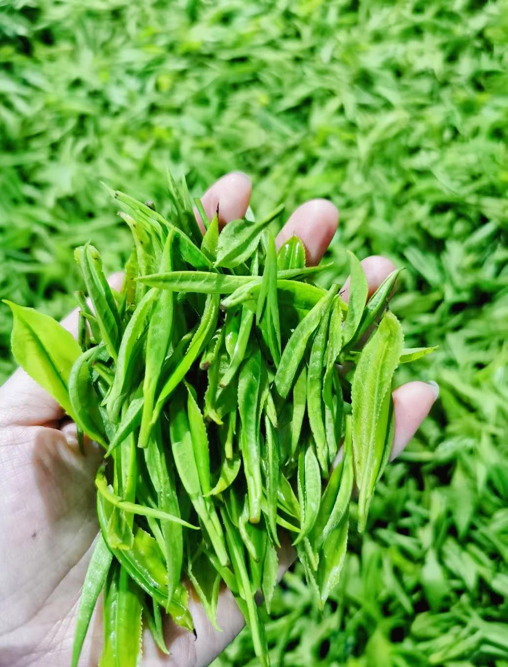 神秘湘西走个春在家吃自助烧烤,神秘湘西走个春