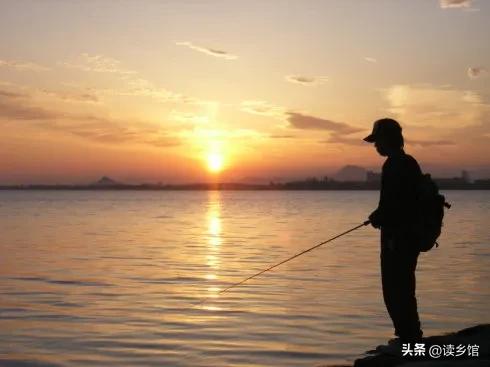 读乡馆,读故乡的感悟20字