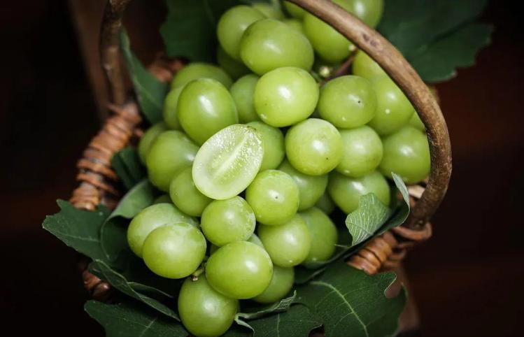 日本葡萄价格多少一斤,日本葡萄八块钱一个