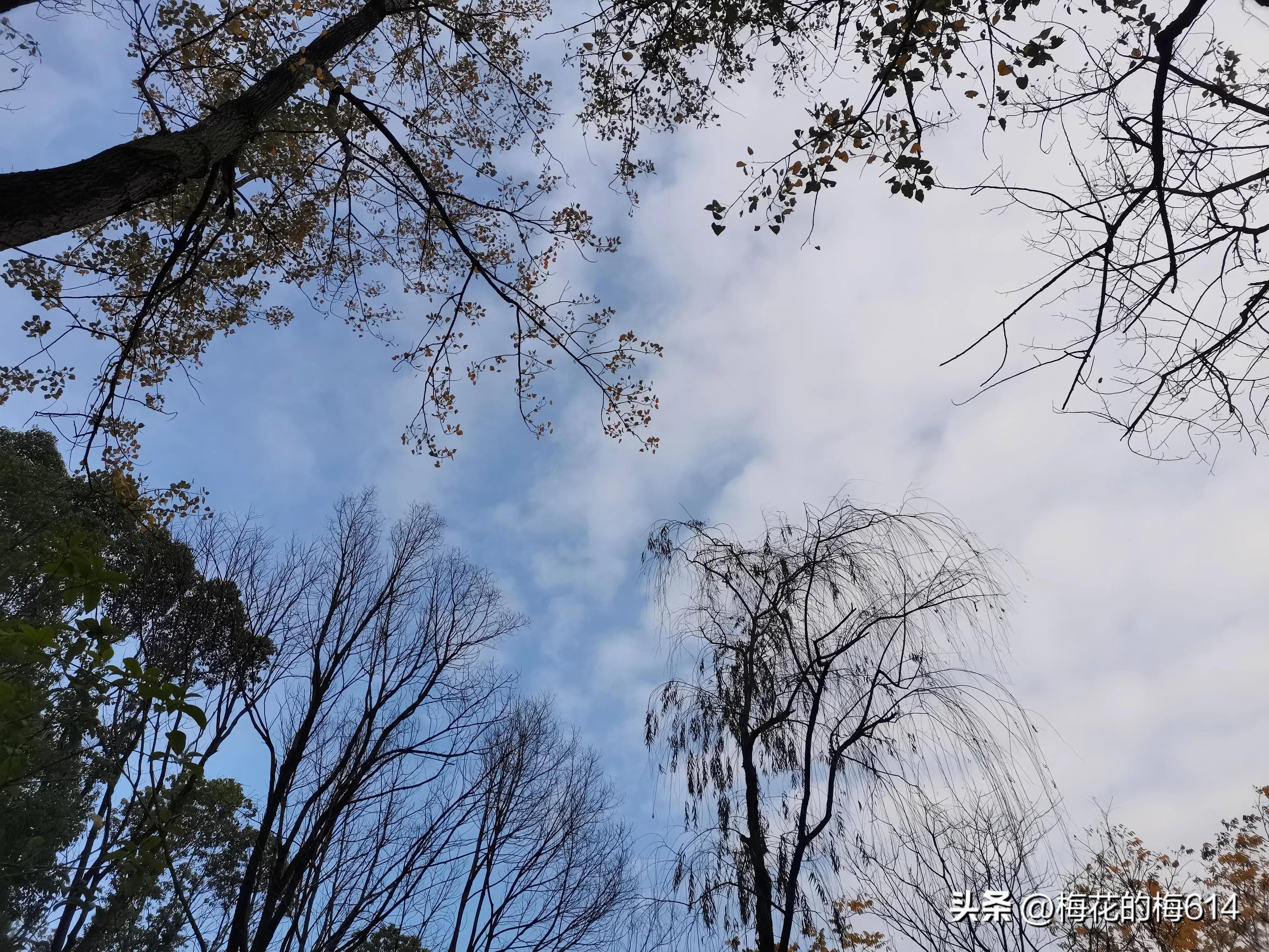 给了一个商家差评总接骚扰电话,怎么看待网购给差评被骚扰