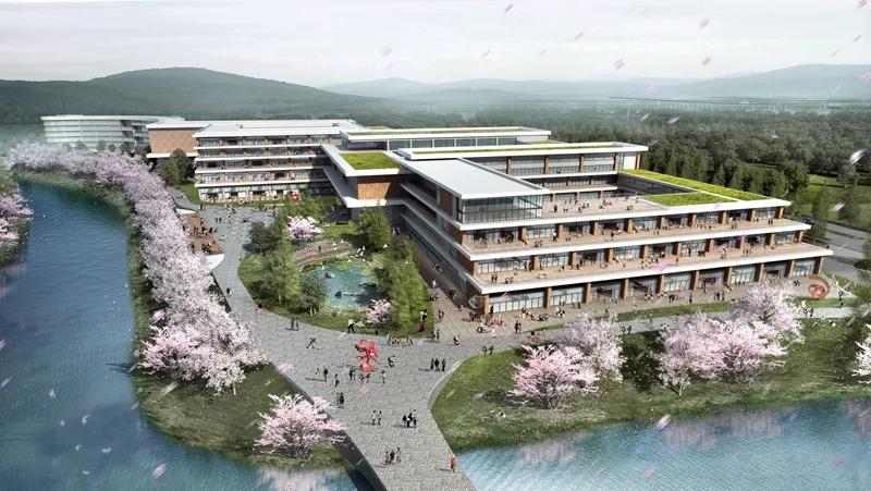 揭秘马云创办的云谷学校,马云云谷学校有多成功