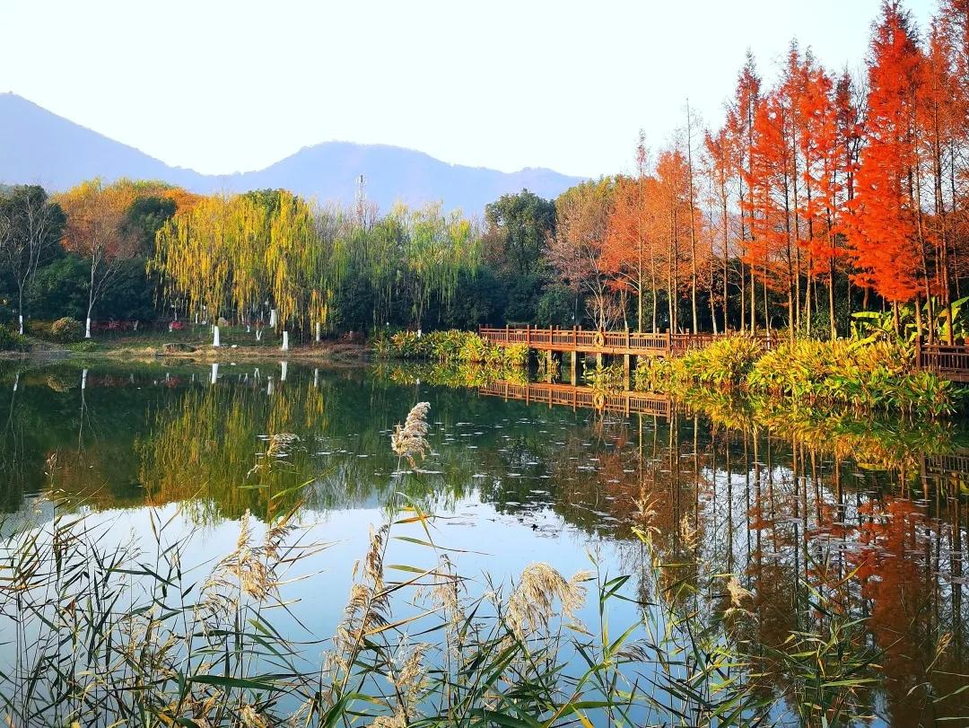 杭州西湖微信头像图片,杭州风景图片头像