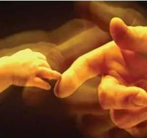 弗洛伊德的无意识心理结构理论,弗洛伊德精神分析学说主要观点