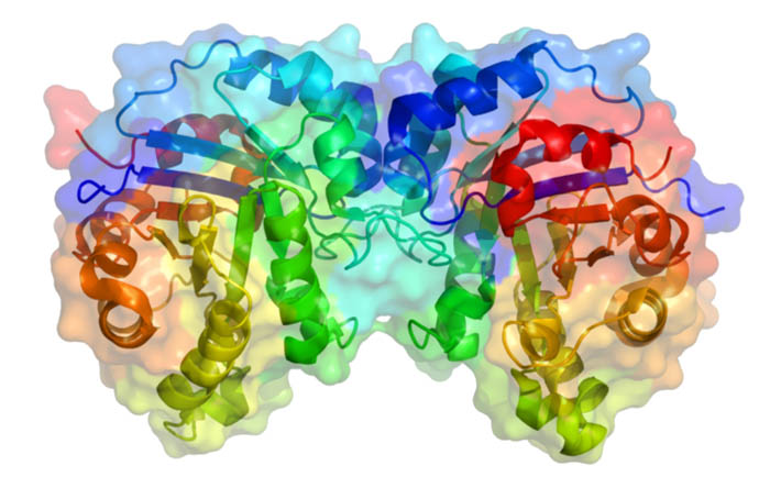 起泡酒怎么酿造,起泡酒用什么酵母