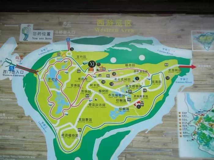 云南西双版纳旅游攻略app,云南西双版纳旅游攻略自由行12月