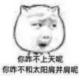 你知道所有表情包的秘密吗,保存起来的表情包都去哪了