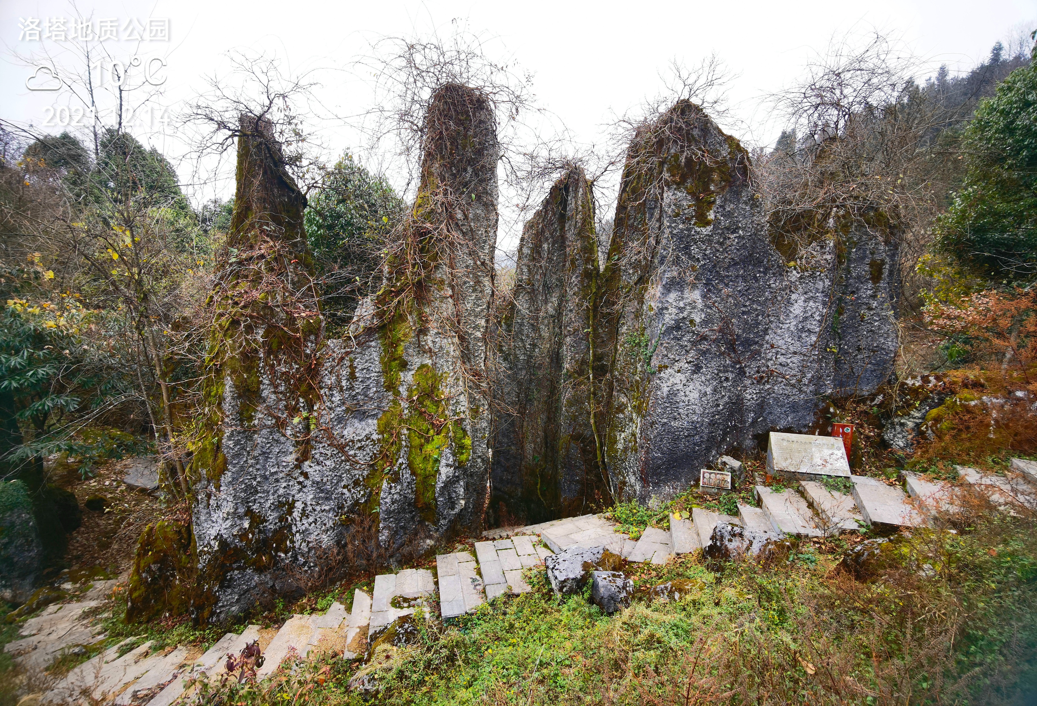 这里的两部百科全书值得一读