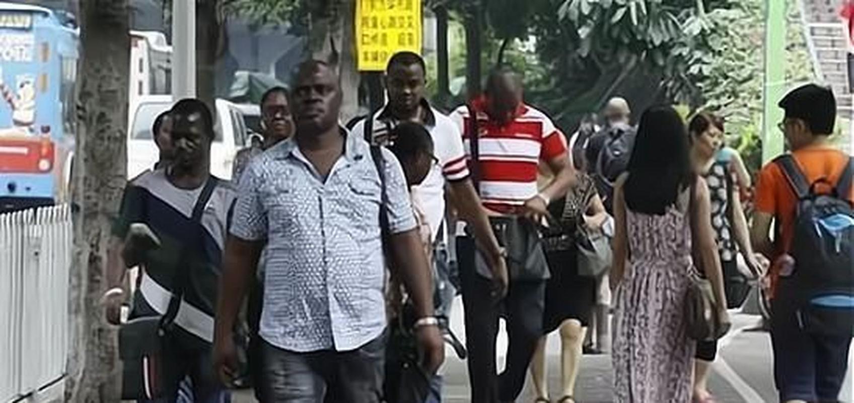 我们将会变成下一个法国？黑人问题的成因以及为何难以得到解决？