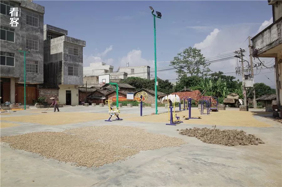 小镇的暑假,小镇少年的假期