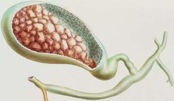 鸡内金吃了后会有什么反应,鸡内金经常喝有什么危害
