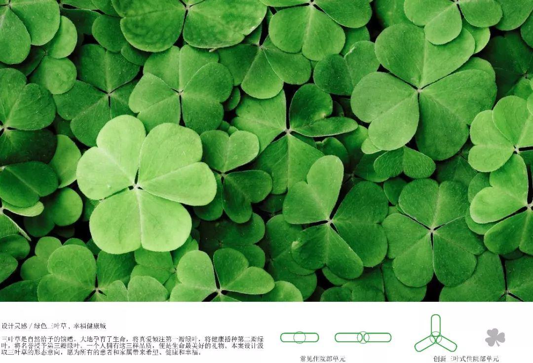 绿色三叶草，健康幸福城|艾信承建桐庐县第一人民医院物流系统