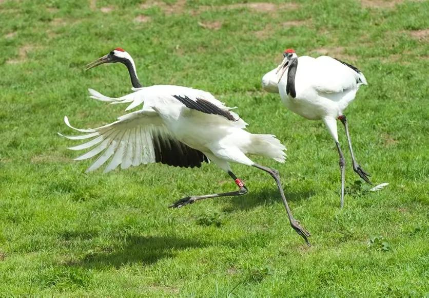 浙东古诗词,浙东唐诗有哪些