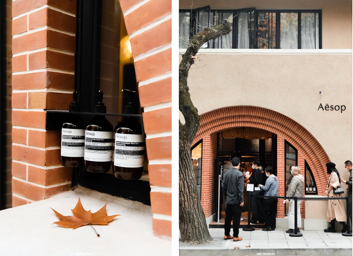 蜜雪冰城南洋维也纳,蜜雪冰城登陆日本