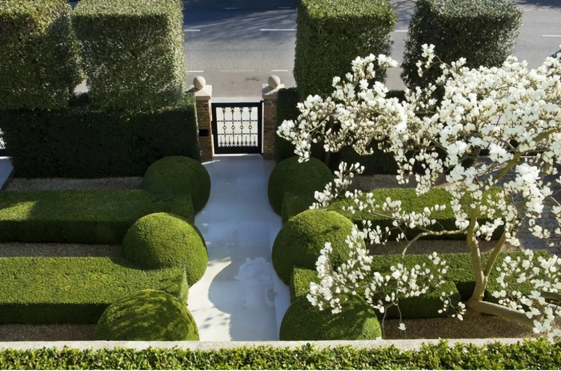 那些被我们忽略的风景,球球景观